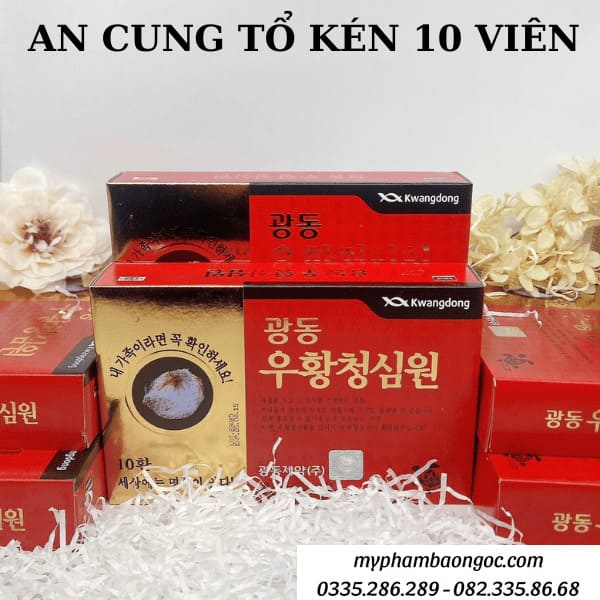 AN CUNG TỔ KÉN 10 VIÊN HÀN QUỐC