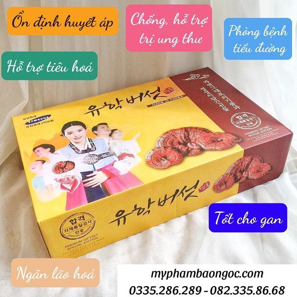 NẤM LINH CHI GEUMSAN VÀNG HÀN QUỐC 1KG